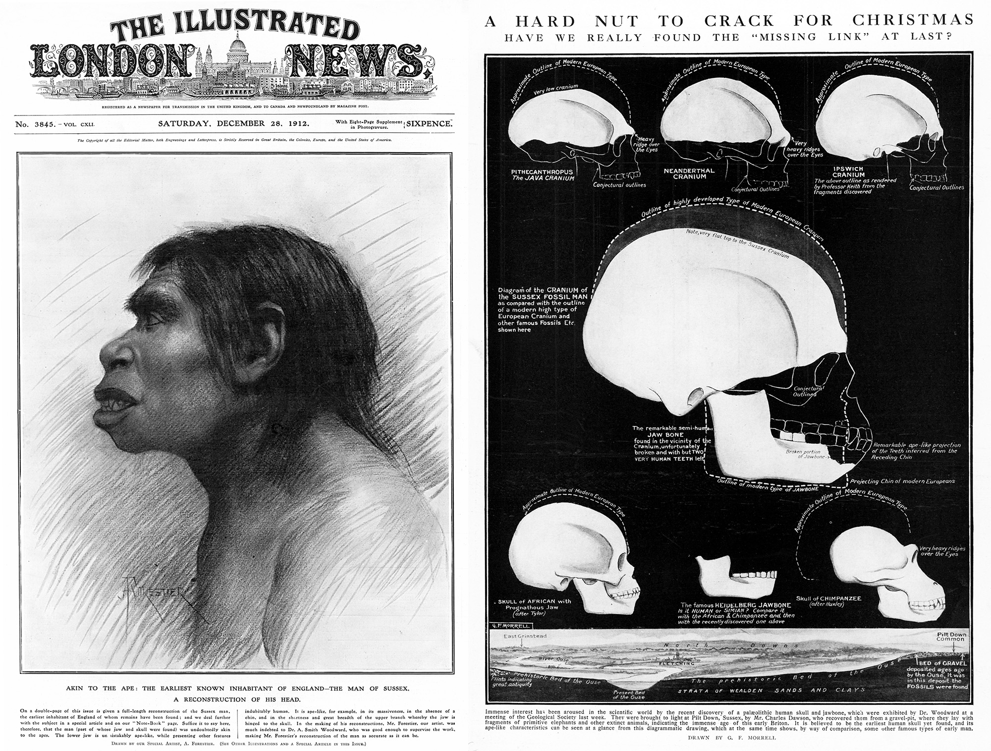 The Problem of Piltdown Man Science History Institute