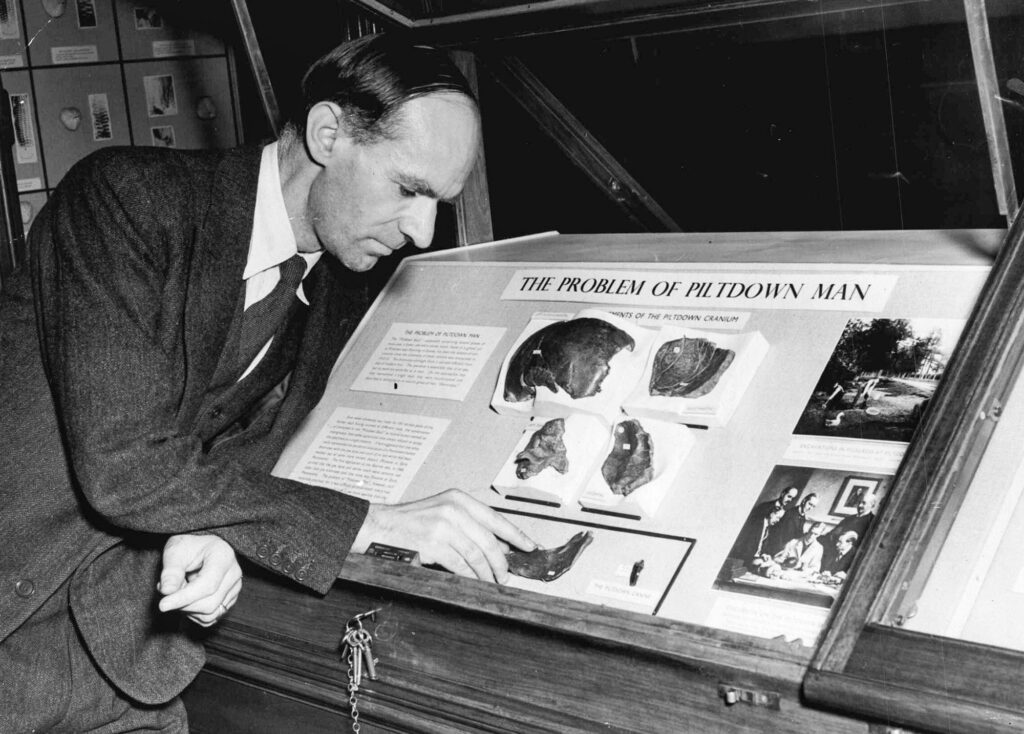 Man adjusting items in a museum exhibition case