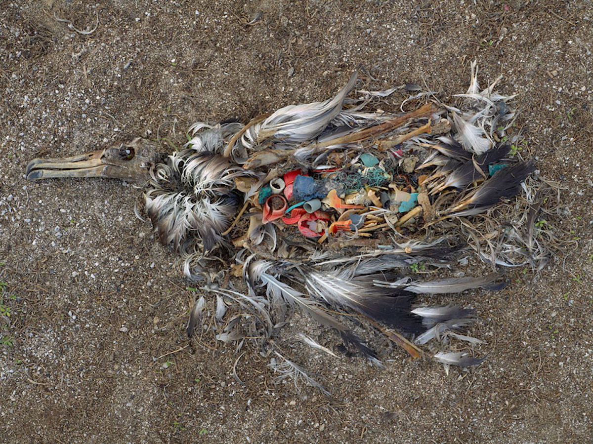 History and Future of Plastics | Science History Institute