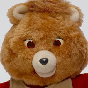 stuffed mechanical teddy bear