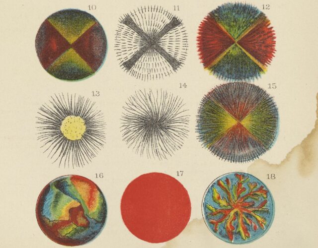 12 colorful illustrations from 1886 of various fats under a microscope.