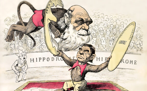 Satirical cartoon of Darwinism using a circus theme