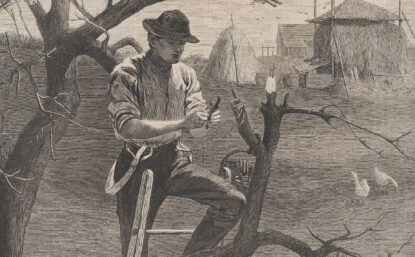 Black and white engraving of a man grafting a tree in front of a farmhouse