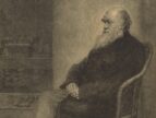 portrait of Charles Darwin