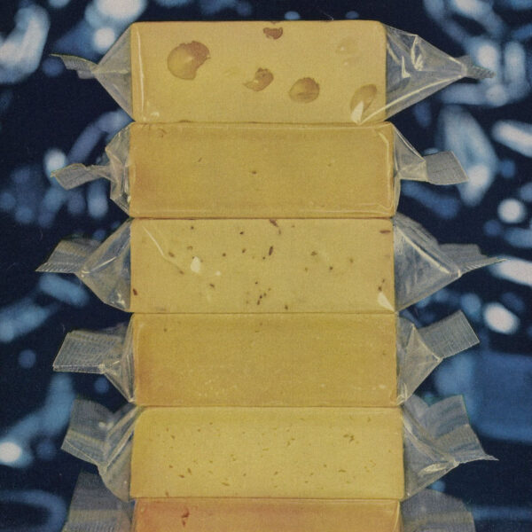 image of cheese wrapped in plastic