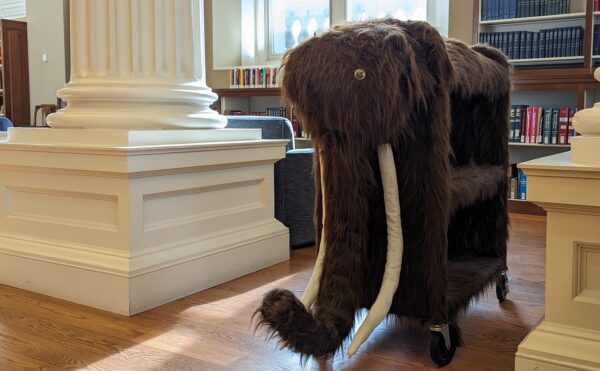 woolly mammoth book cart