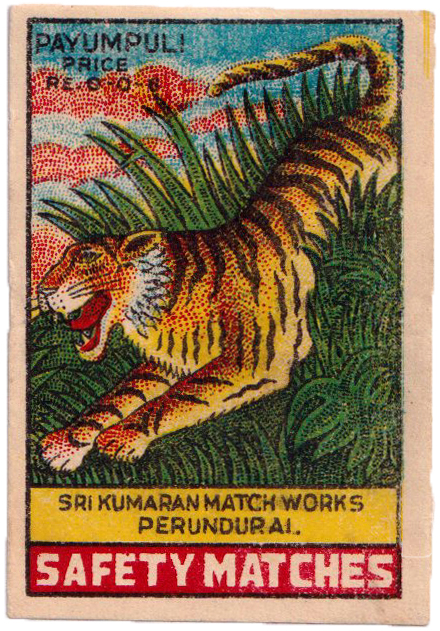color illustration of a tiger in the jungle