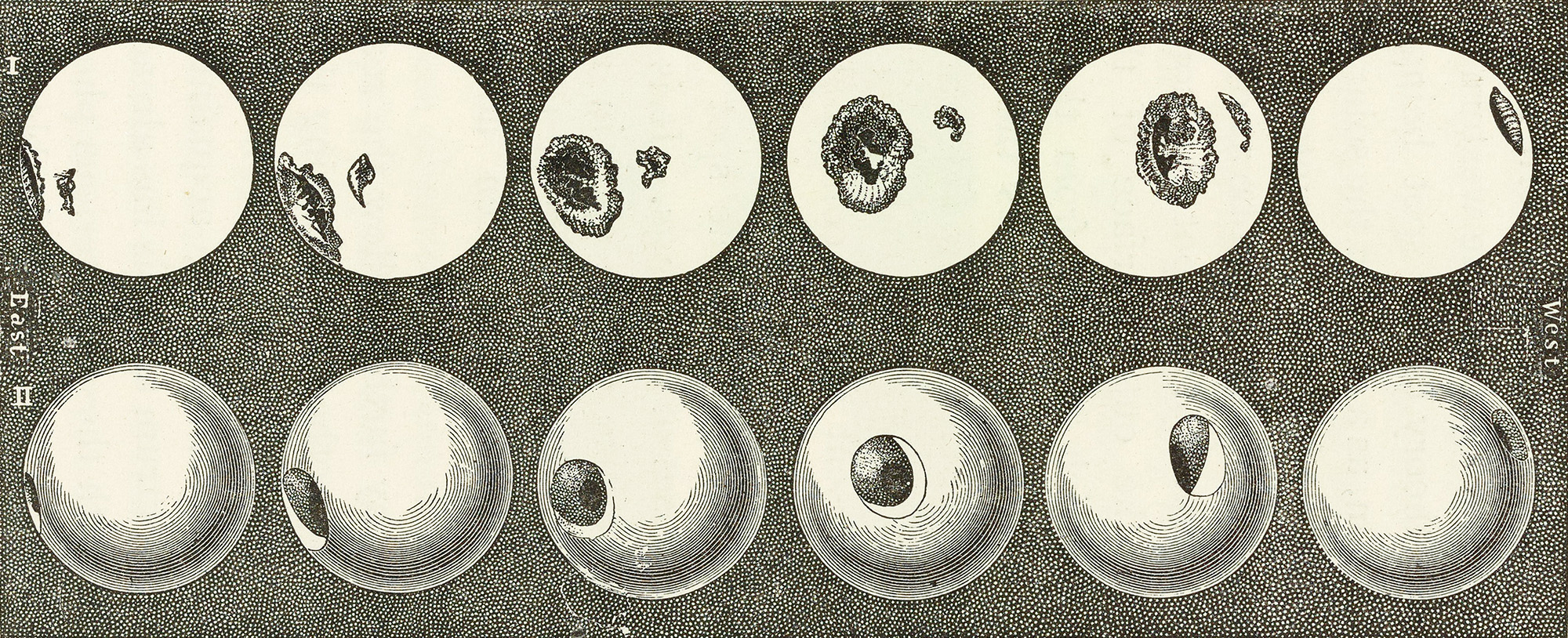 eighteen black and white sketches of blobs in different positions on the sun's surface