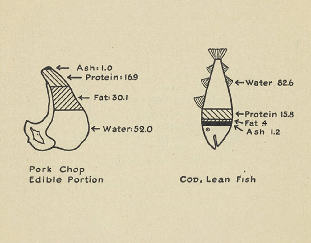 scientific diagrams of percentage composition of foods