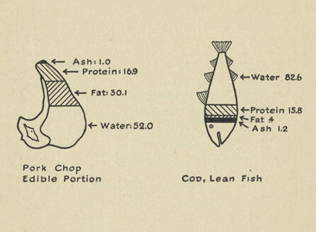scientific diagrams of percentage composition of foods
