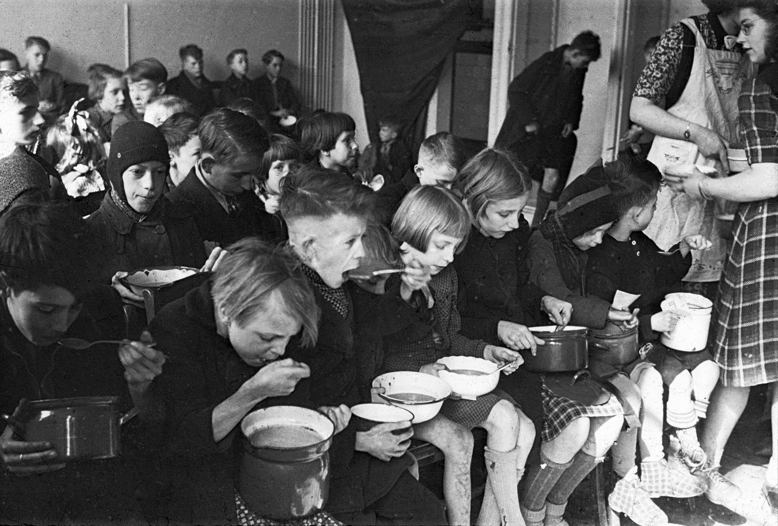 The Winter When People Ate Tulips | Science History Institute