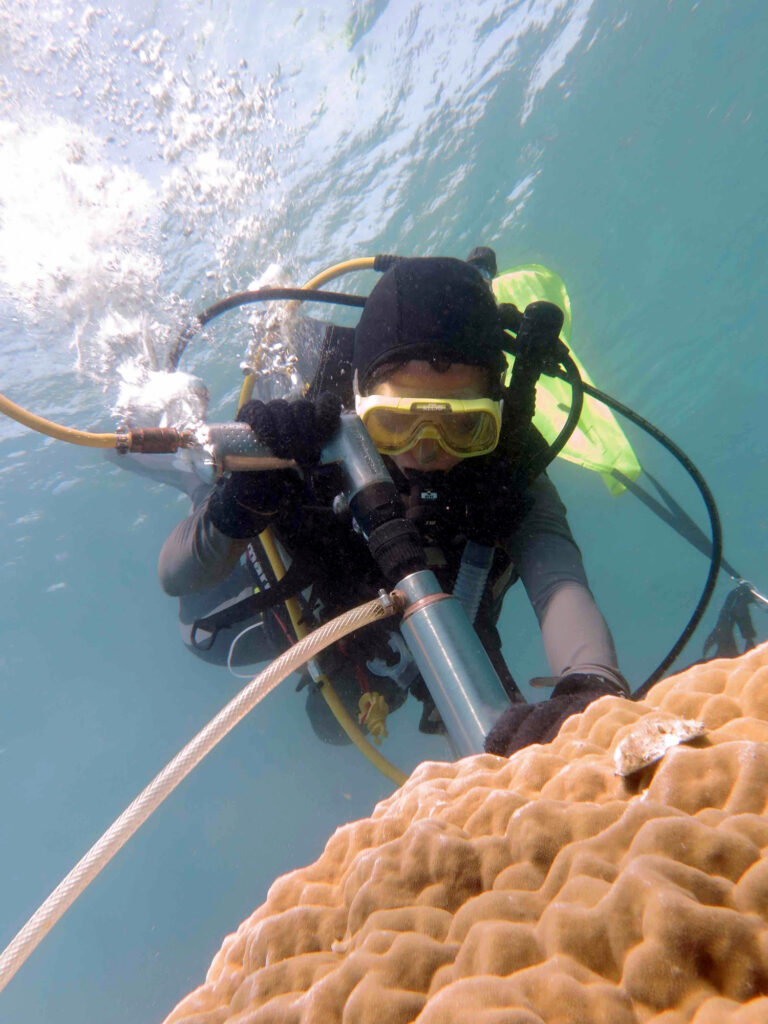 Persona con equipo de buceo perforando un agujero en un gran coral bajo el agua