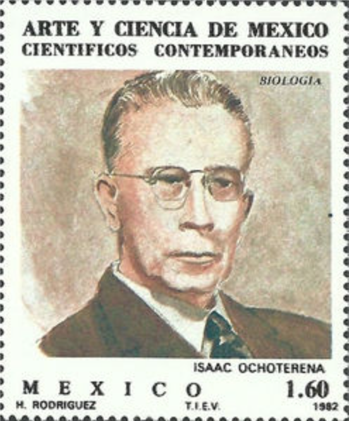 mexican stamp depicting Isaac Ochoterena