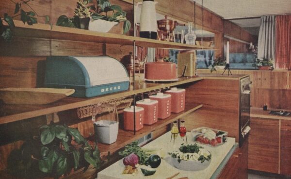 illustration of a 1950s kitchen