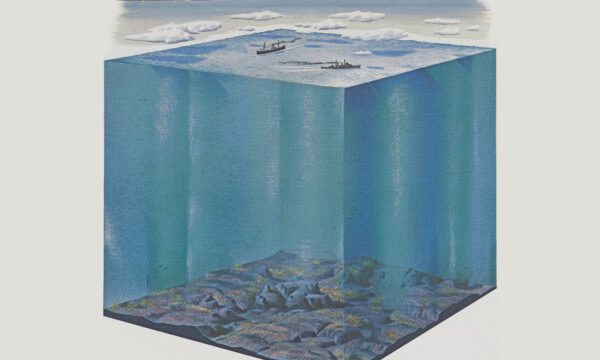 illustration of the ocean as a cube