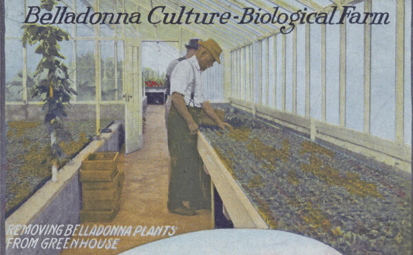 illustration of farming scenes
