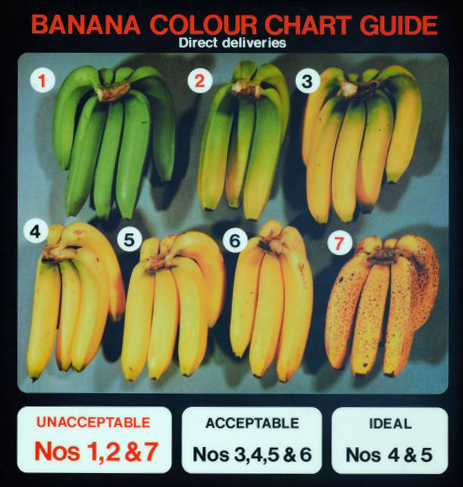 Annotated color photo slide showing seven bunches of bananas increasing in ripeness from green to spotted yellow