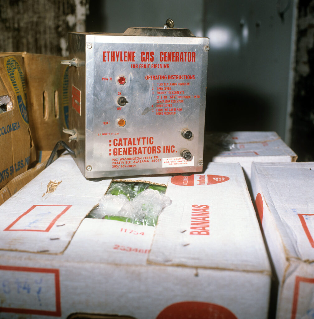 Color photo of a small instrument set atop a box of bananas
