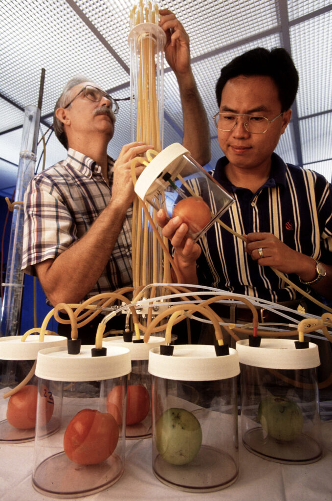 Two researchers posed with staged equipment, including tubes connected to canisters holding different types of fruit