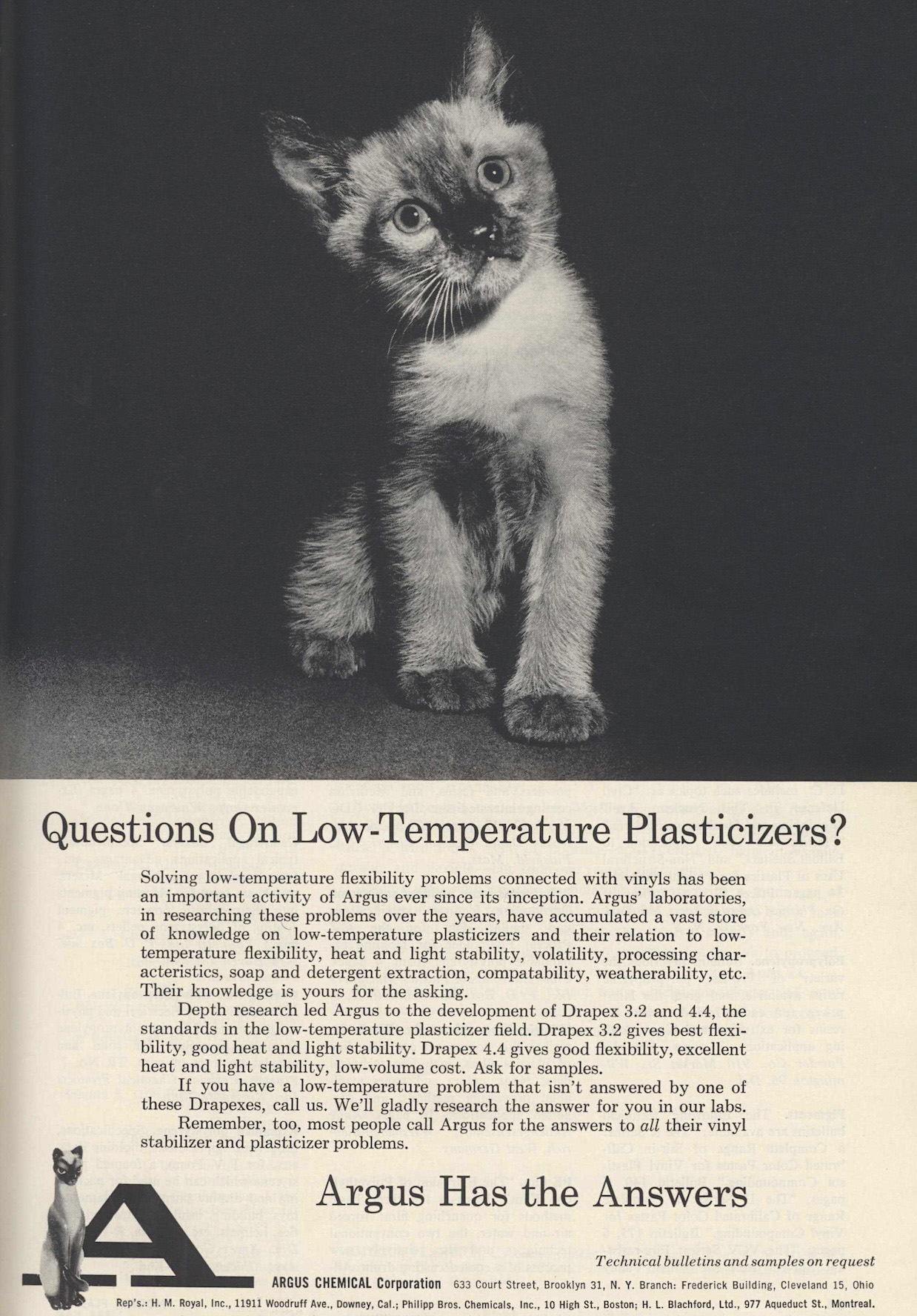old advertisement featuring a kitten