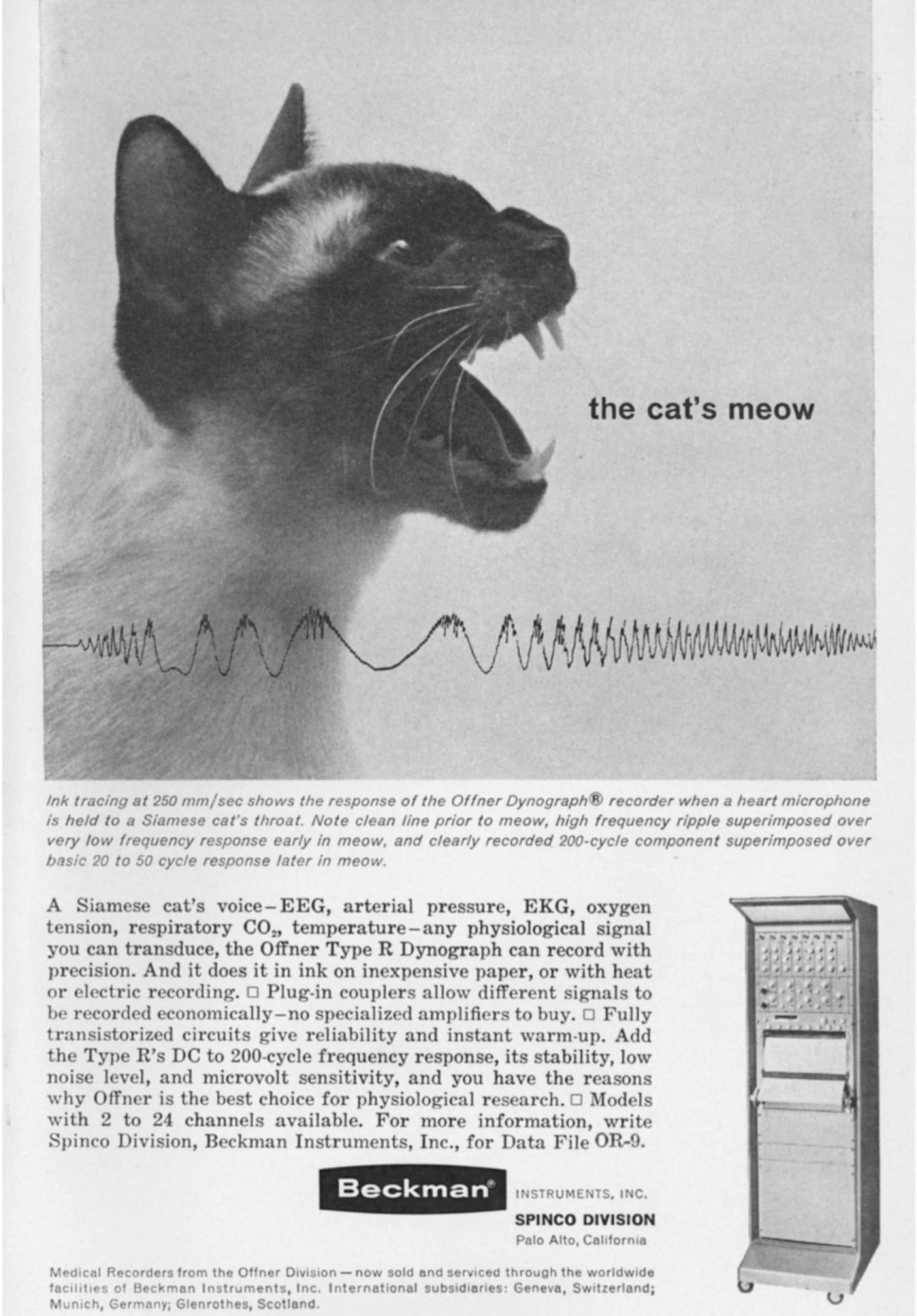 ad for Beckman Instruments featuring a cat