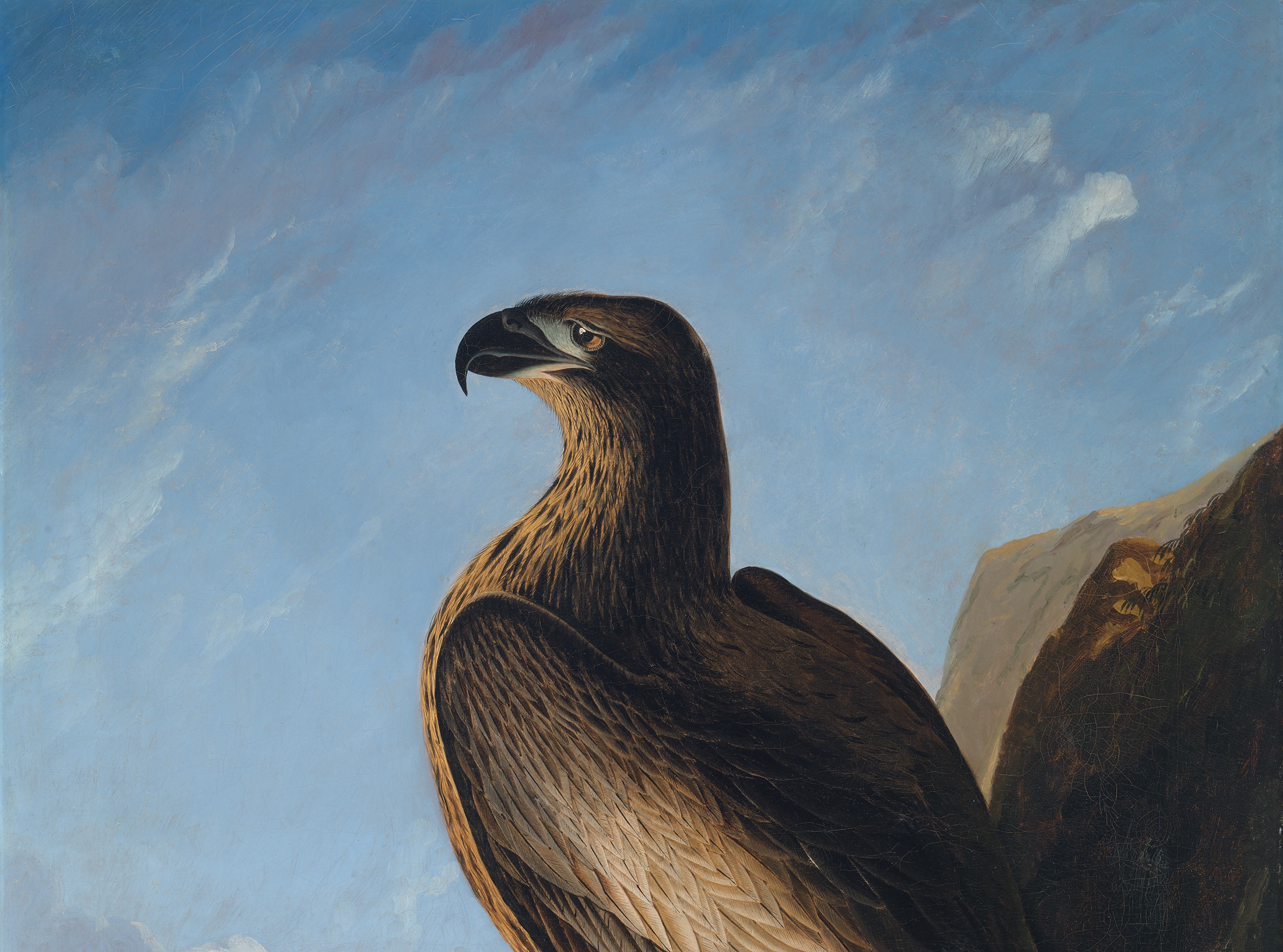 Hatching a Legend | Science History Institute