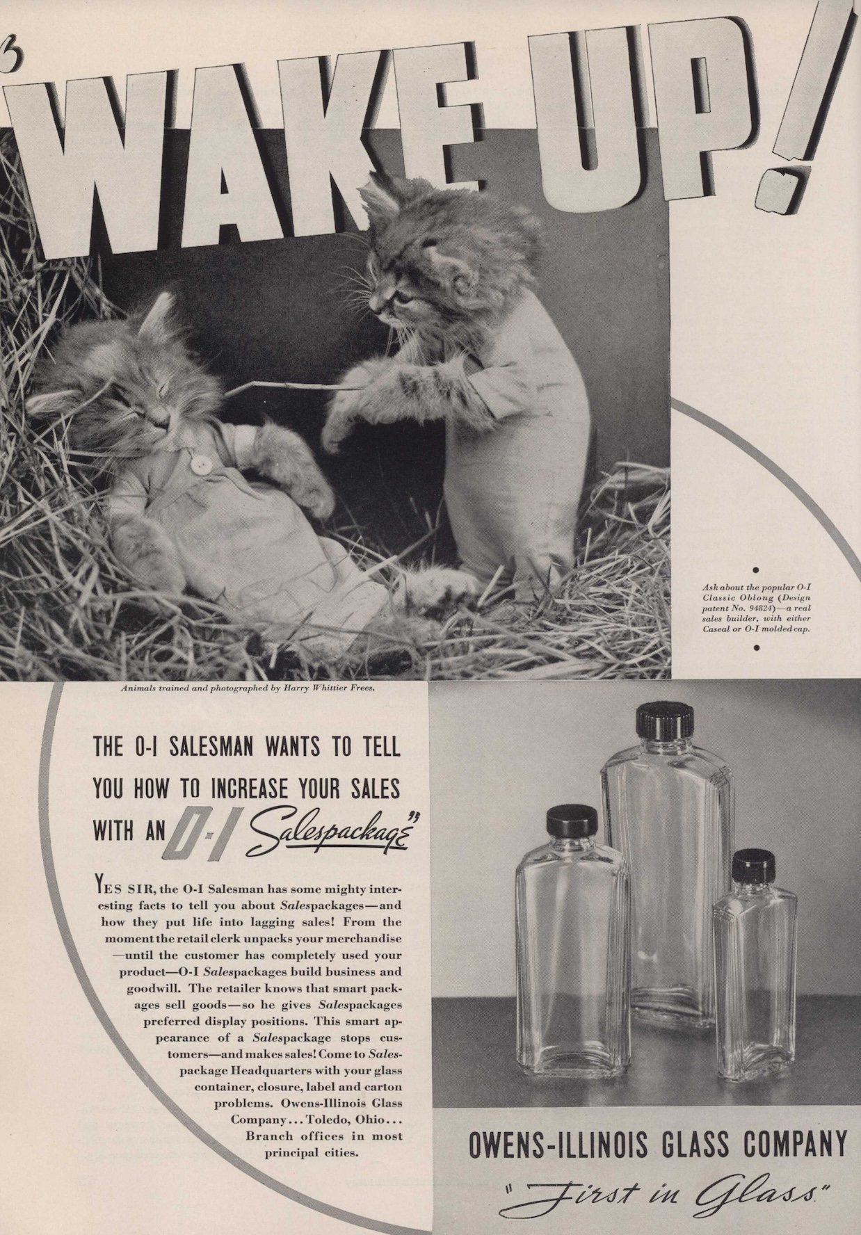 old advertisement featuring kittens