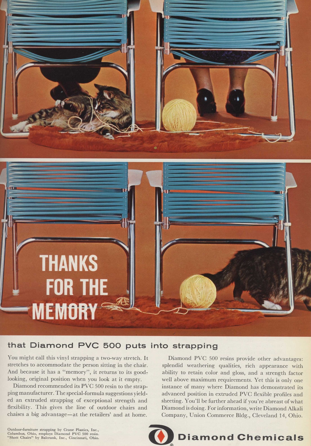 color ad featuring cats playing with yarn