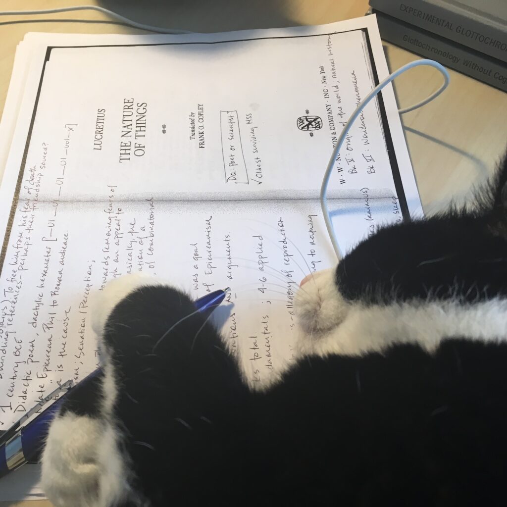 photo of a cat laying on a book holding a pen
