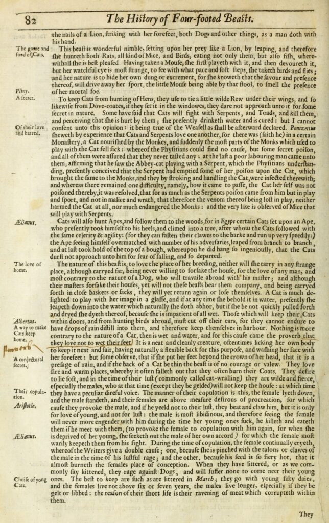 text about cats in an old book