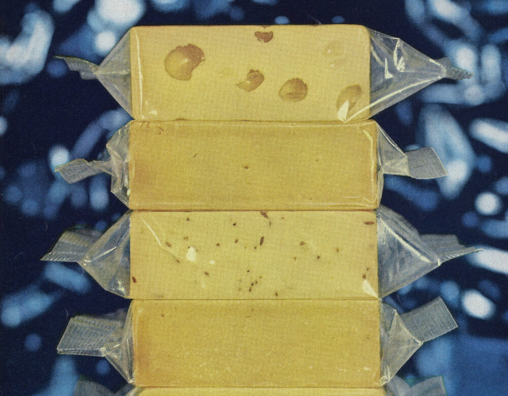 photo of cheese wrapped in plastic