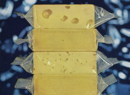 photo of cheese wrapped in plastic