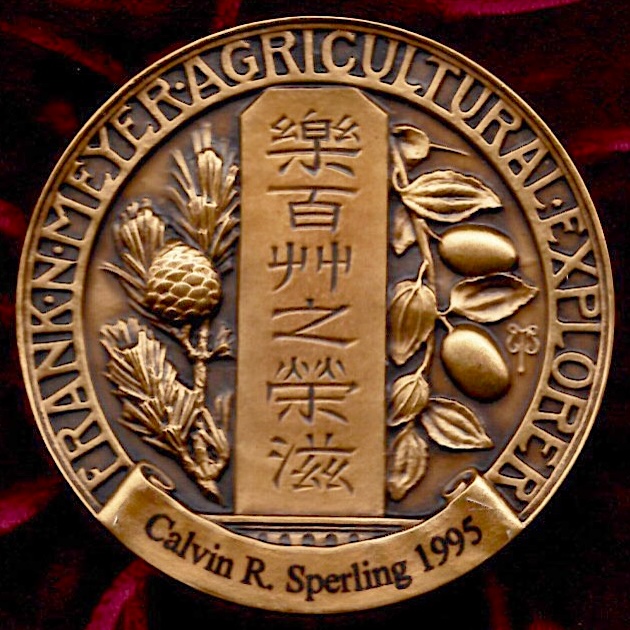 engraved gold medal