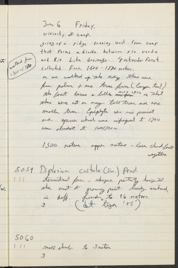 handwritten notes in a notebook