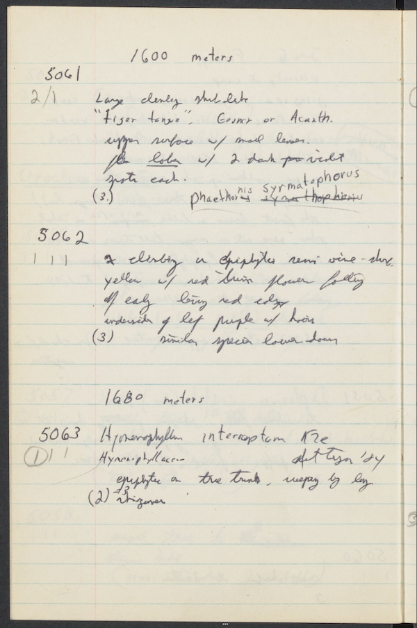 handwritten notes in a notebook