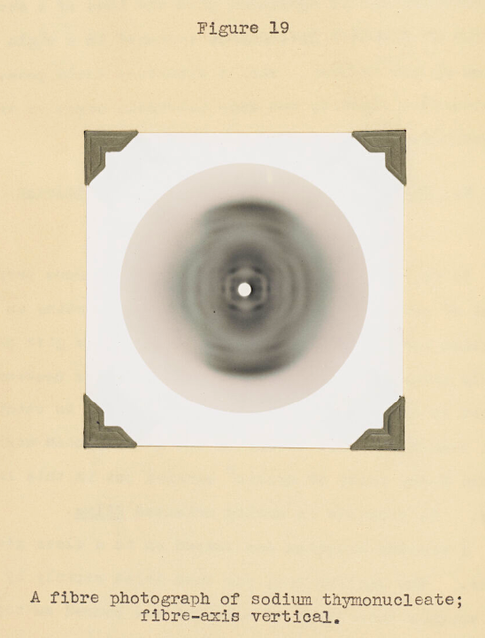 x-ray crystallography