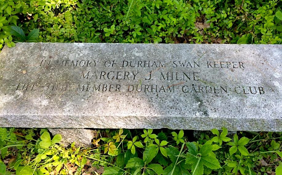 photo of a stone bench with a memorial engraving