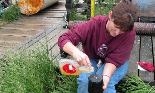 Seated woman pouring liquid from a plastic container onto an upturned pot