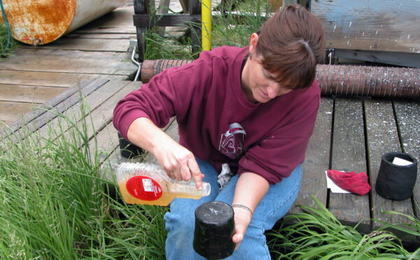 Seated woman pouring liquid from a plastic container onto an upturned pot