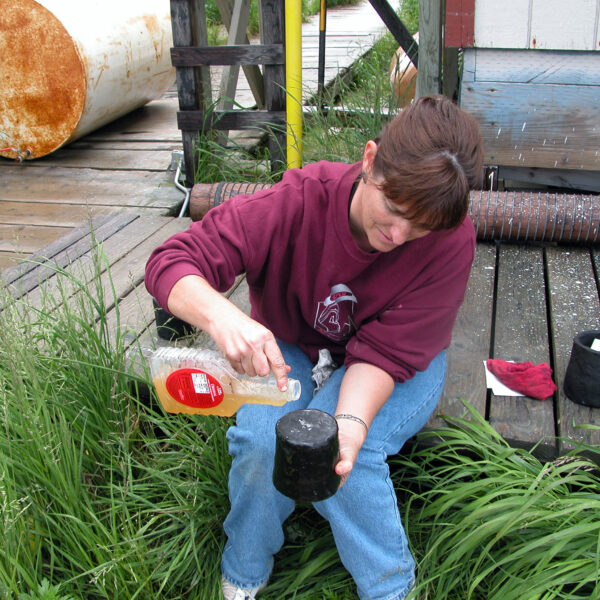 Seated woman pouring liquid from a plastic container onto an upturned pot
