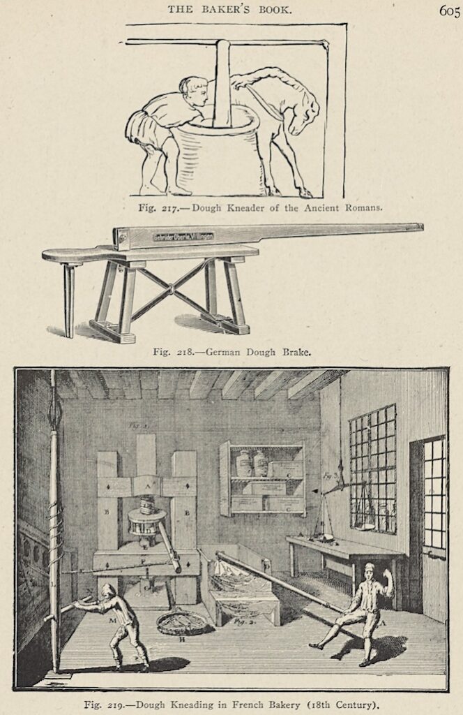 page from an old book