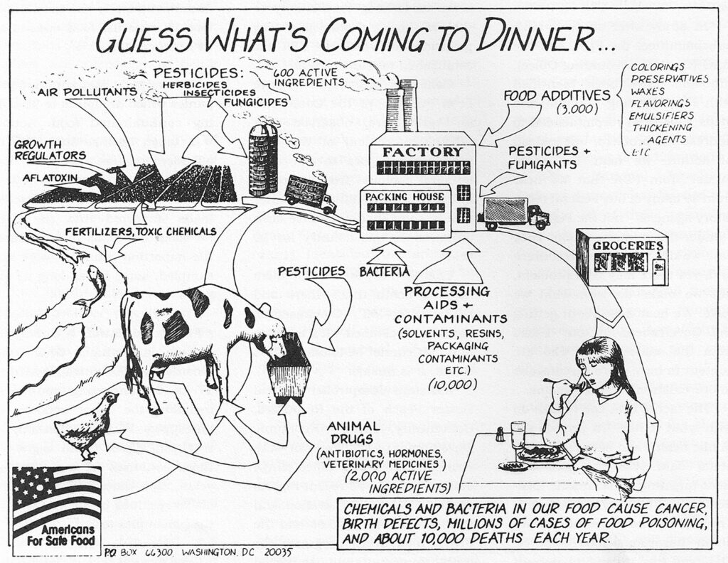 Line illustration showing intertwined food and pollution cycles