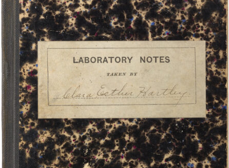 cover of a notebook