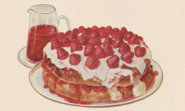 illustration of a strawberry shortcake