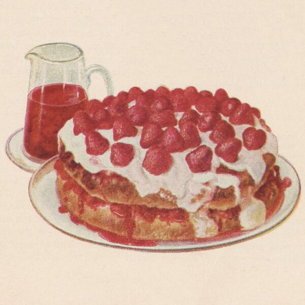 illustration of a strawberry shortcake