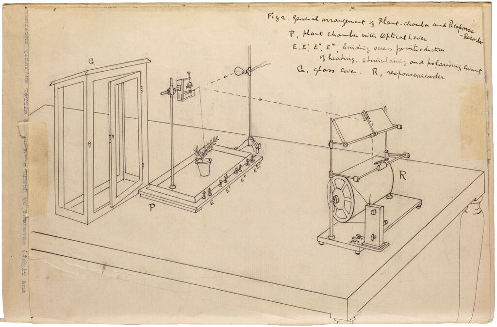 Hand drawing of a scientific instrument