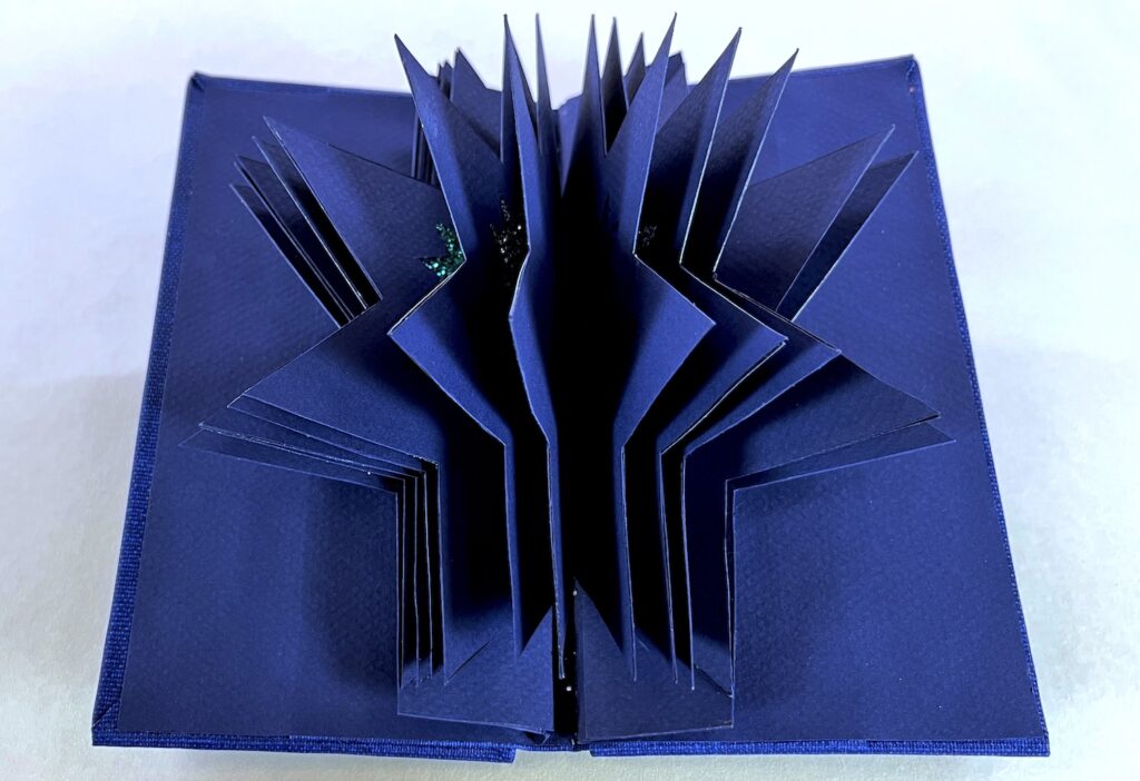 artist book