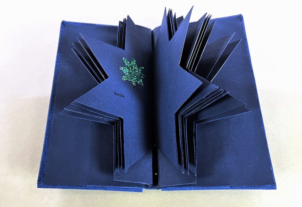 artist book