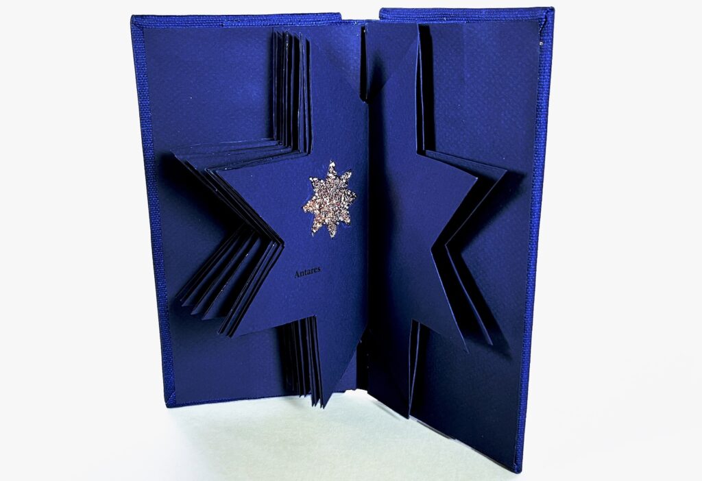 artist book