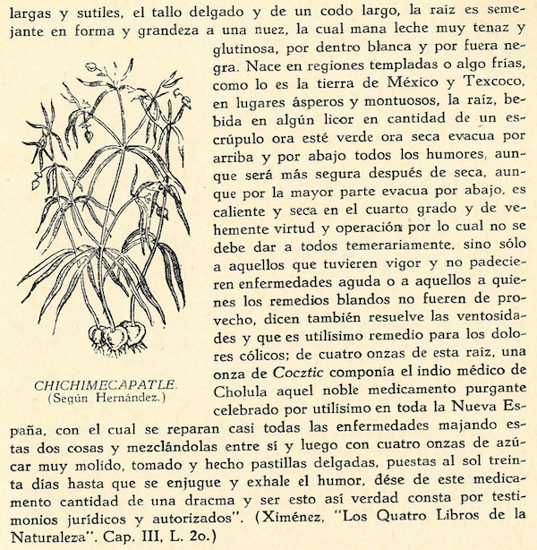 page from an old book